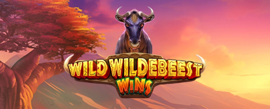 Stampede into the action with Wild Wildebeest Wins at Joe Fortune! Packed with Expanding Wildebeest symbols, Wild Multipliers, and a 10,000x Max Win.